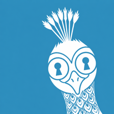 Glenz Ruby Store logo